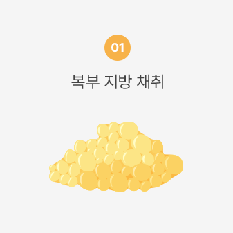 복부 지방 채취