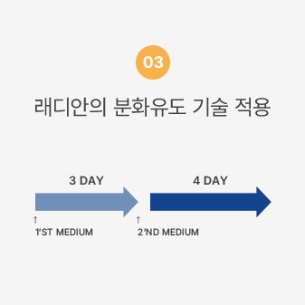 래디안의 분화유도 기술 적용