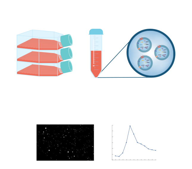 Exosomes secreted by cells